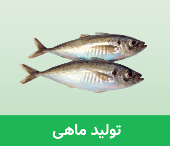 انواع ماهی